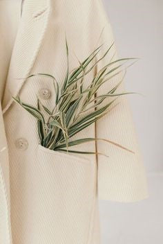 Step into Sustainable Style: Discover the Joy of Natural Fiber with Mojopanda