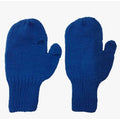 Woolen Gloves | 100 % Organic Wool | Blue