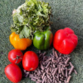 Bio-wool pellet (Fertilizer)