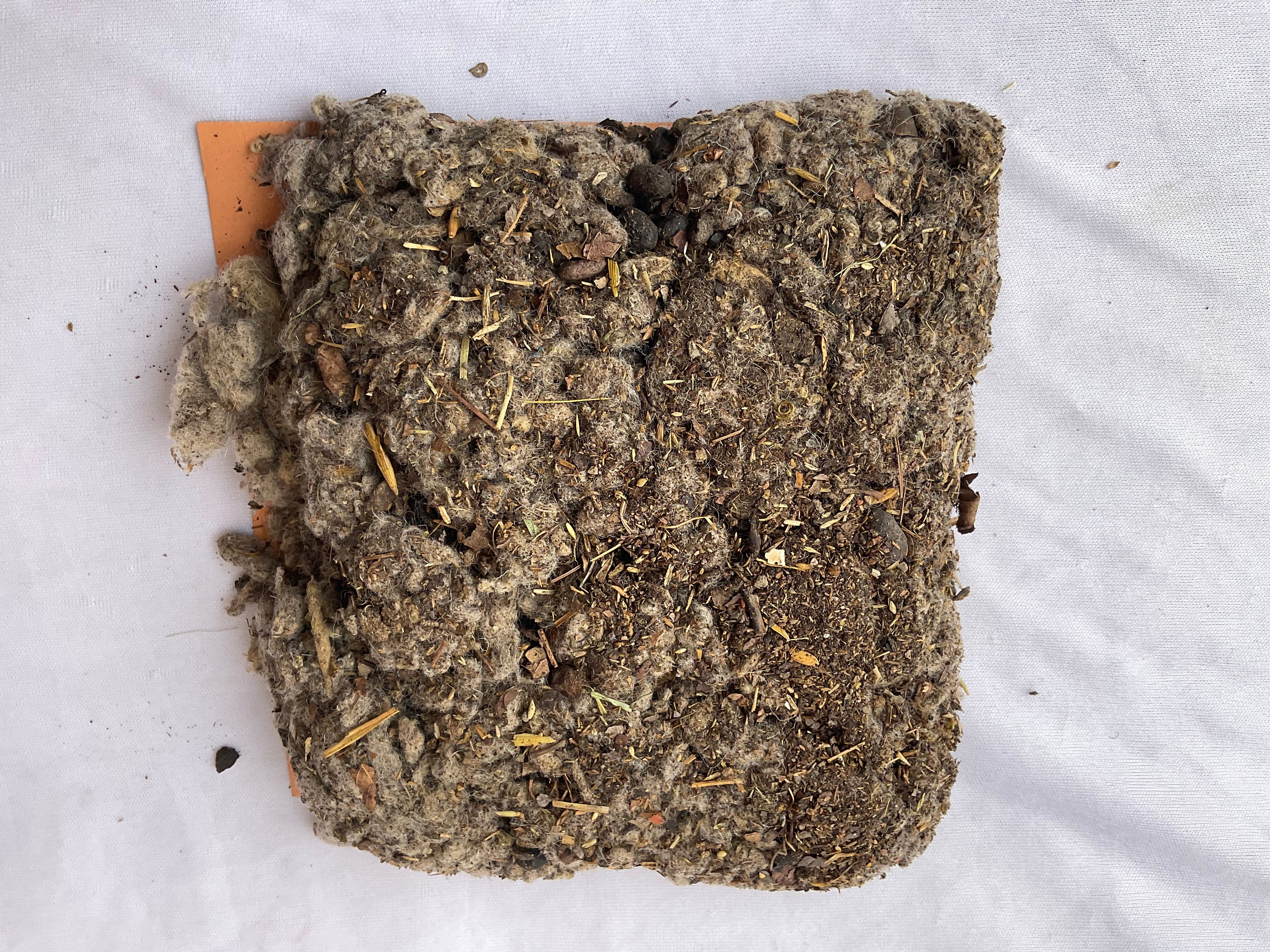 Wool Mulch