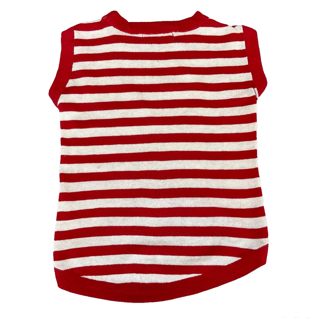 Dog Cotton T-shirt | 100 % Cotton | Pet tshirt