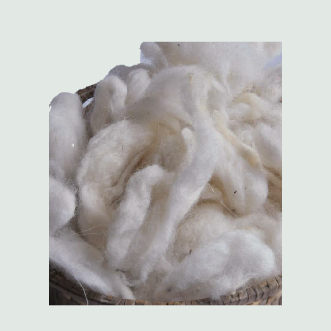 Wool Fibre Merino - Scoured - Mojopanda Organic  Store