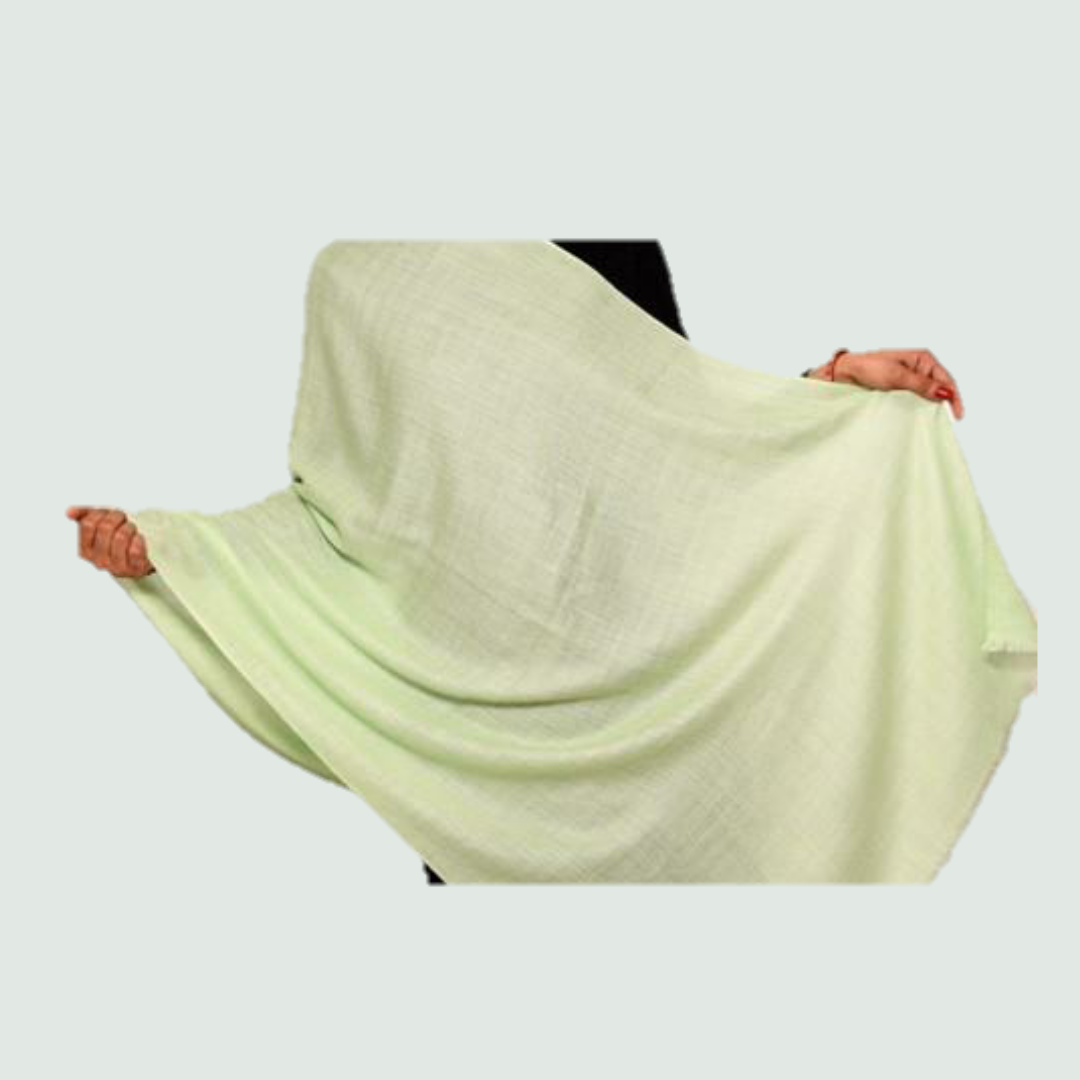 Mint Green Stole/Shawl - Front View